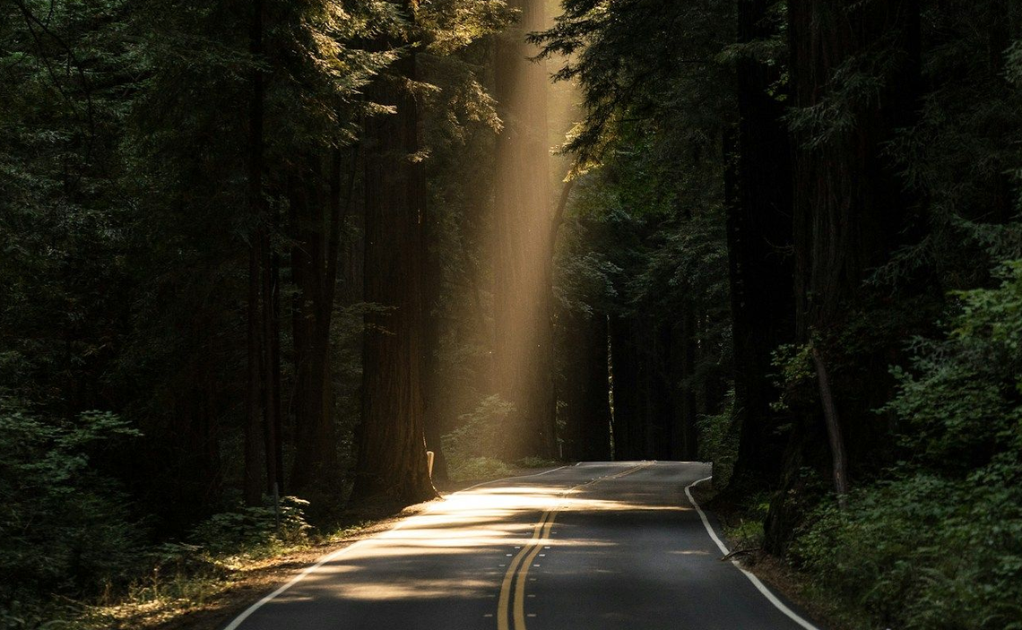 Fulcrum Coaching & Consulting